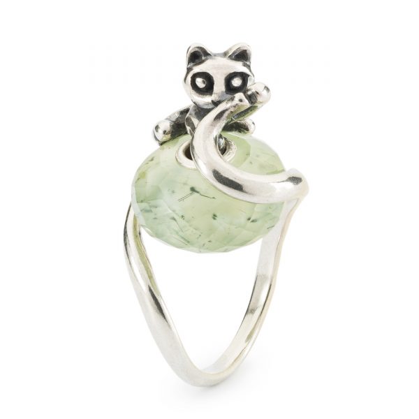 Anello Gatto della Protezione