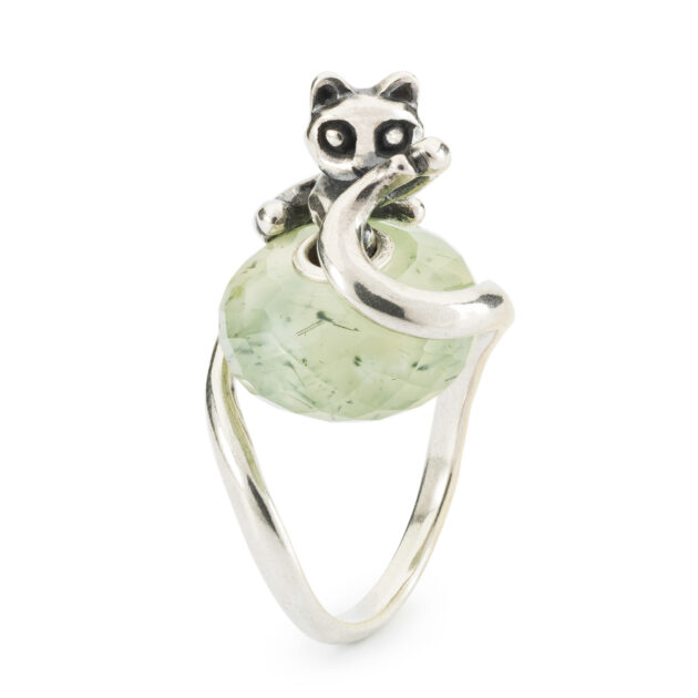 Anello Gatto della Protezione